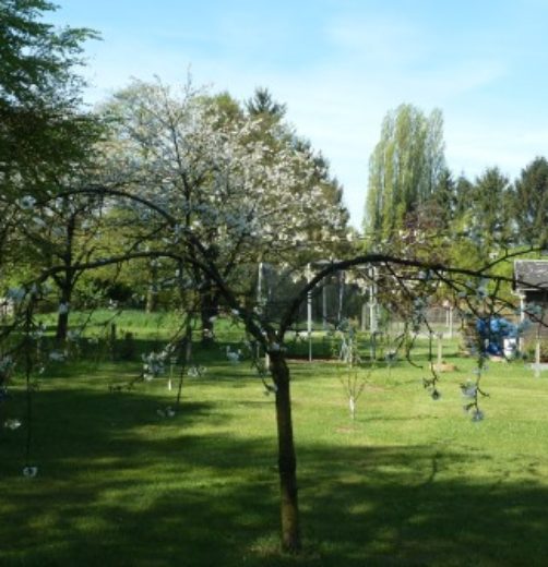 P1100145
